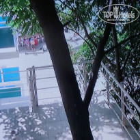 фото из отзыва ID 1091324