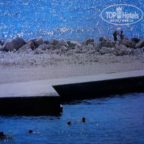 фото из отзыва ID 1091324