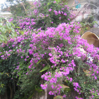 фото из отзыва ID 1091542