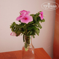 фото из отзыва ID 1091629