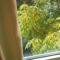 фото из отзыва ID 1091680