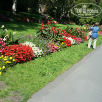 фото из отзыва ID 1091806