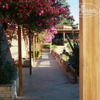 фото из отзыва ID 1092056