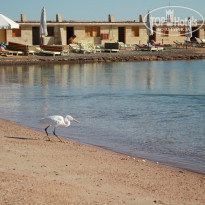 фото из отзыва ID 1092056