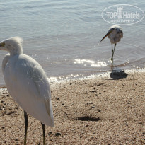 фото из отзыва ID 1092056