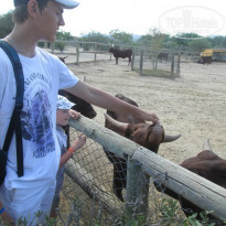 фото из отзыва ID 1092261