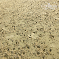 фото из отзыва ID 1092285