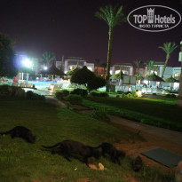 фото из отзыва ID 1092502