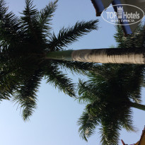 фото из отзыва ID 1092741