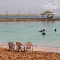 фото из отзыва ID 1092745