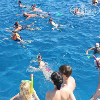 фото из отзыва ID 1092931