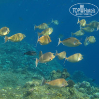 фото из отзыва ID 1093077