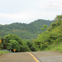 фото из отзыва ID 1093242