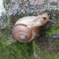 фото из отзыва ID 1093242