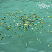 фото из отзыва ID 1093242