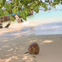 фото из отзыва ID 1093242