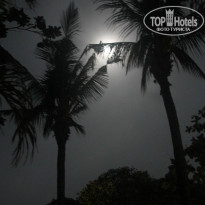 фото из отзыва ID 1093242