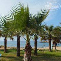 фото из отзыва ID 1093287