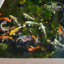 фото из отзыва ID 1093475