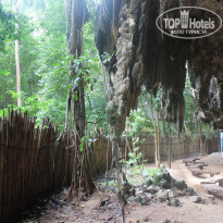 фото из отзыва ID 1093667