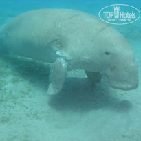 фото из отзыва ID 1093746