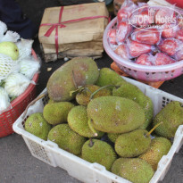 фото из отзыва ID 1093669