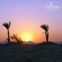 фото из отзыва ID 1093077