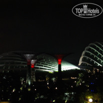 фото из отзыва ID 1094238