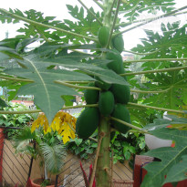 фото из отзыва ID 1094365