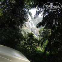 фото из отзыва ID 1094381