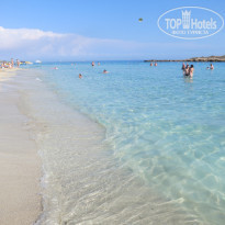 фото из отзыва ID 1094526