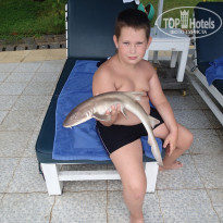 фото из отзыва ID 1094552