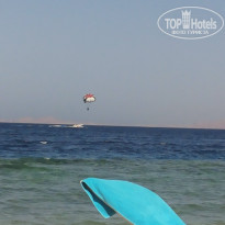 фото из отзыва ID 1094775