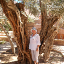 фото из отзыва ID 1094867