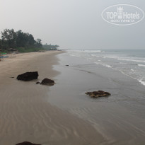 фото из отзыва ID 1094926