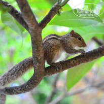 фото из отзыва ID 1095001