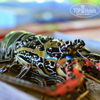 фото из отзыва ID 1095001