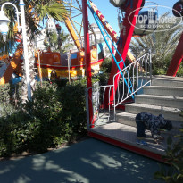 фото из отзыва ID 1095055