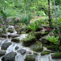 фото из отзыва ID 1095244