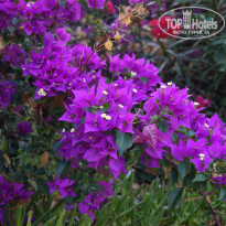 фото из отзыва ID 1095356