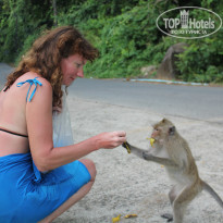 фото из отзыва ID 1095370