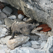 фото из отзыва ID 1094324