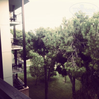 фото из отзыва ID 1095494