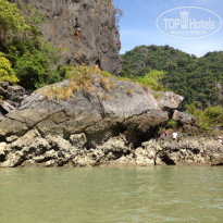 фото из отзыва ID 1095561