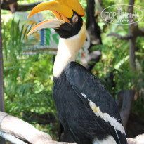 фото из отзыва ID 1095561