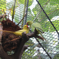 фото из отзыва ID 1095561