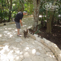 фото из отзыва ID 1095663