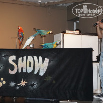 фото из отзыва ID 1095677