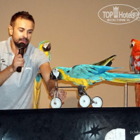 фото из отзыва ID 1095677