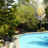 фото из отзыва ID 1095923